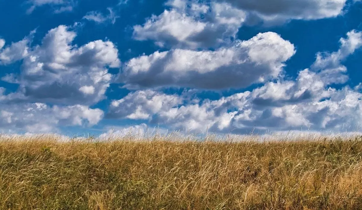 12 серпня в Україні послабне спека: прогноз погоди
