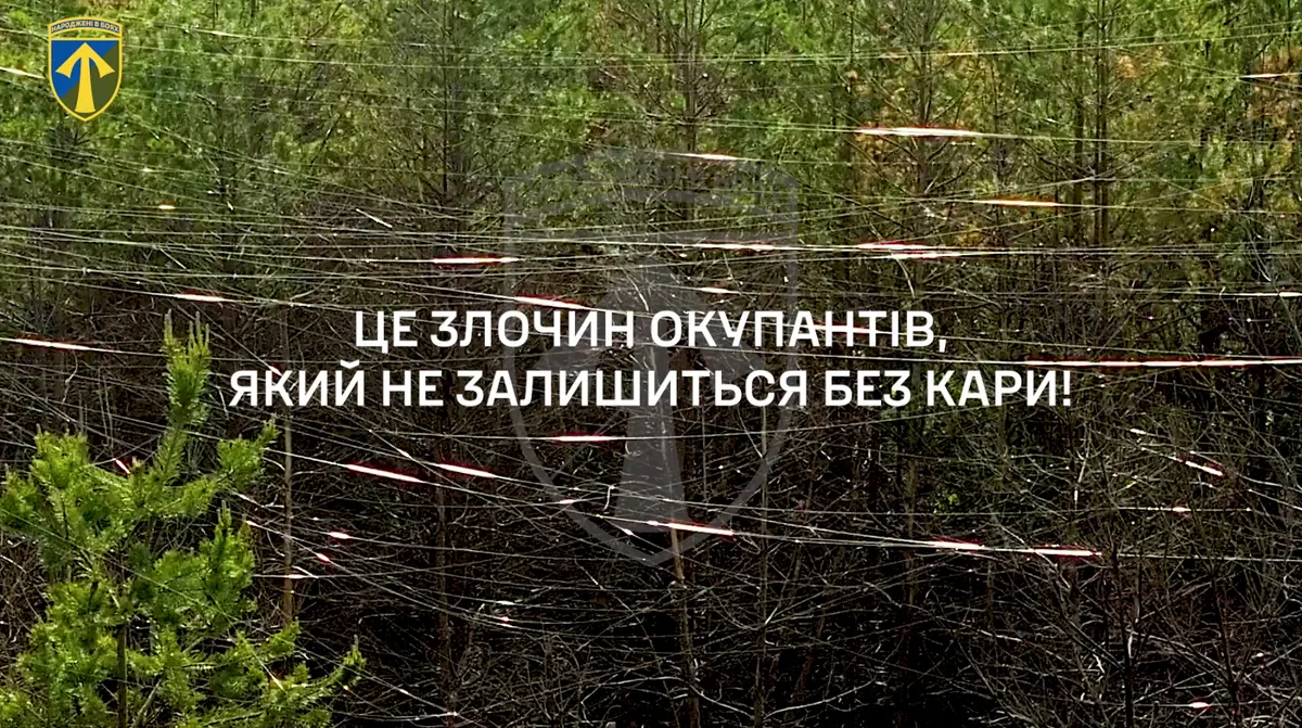 Бійці показали тисячі кілометрів лісів у «павутинні» з оптоволокна на Харківщині