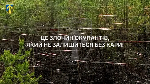 Бійці показали тисячі кілометрів лісів у «павутинні» з оптоволокна на Харківщині