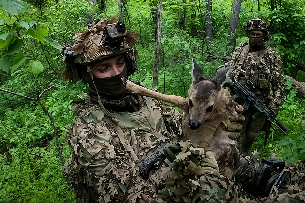 Оператори ССО полонили трьох росіян та врятували оленятко під час нальоту