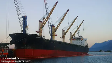 Турецький судновласник звернувся до МКС через атаку на судно MV Reyhan Sari