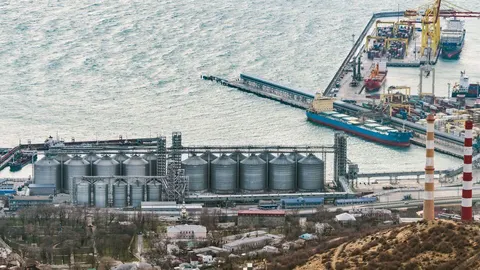 У Новоросійську зупинився останній великий зерновий термінал після ударів ЗСУ
