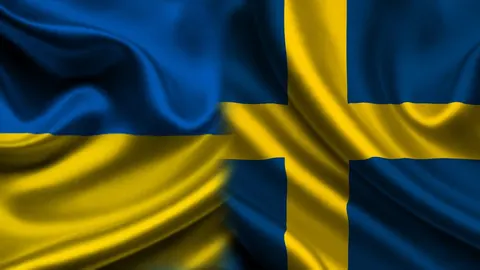 Швеція спрямує додаткові 270 млн крон на ППО для України