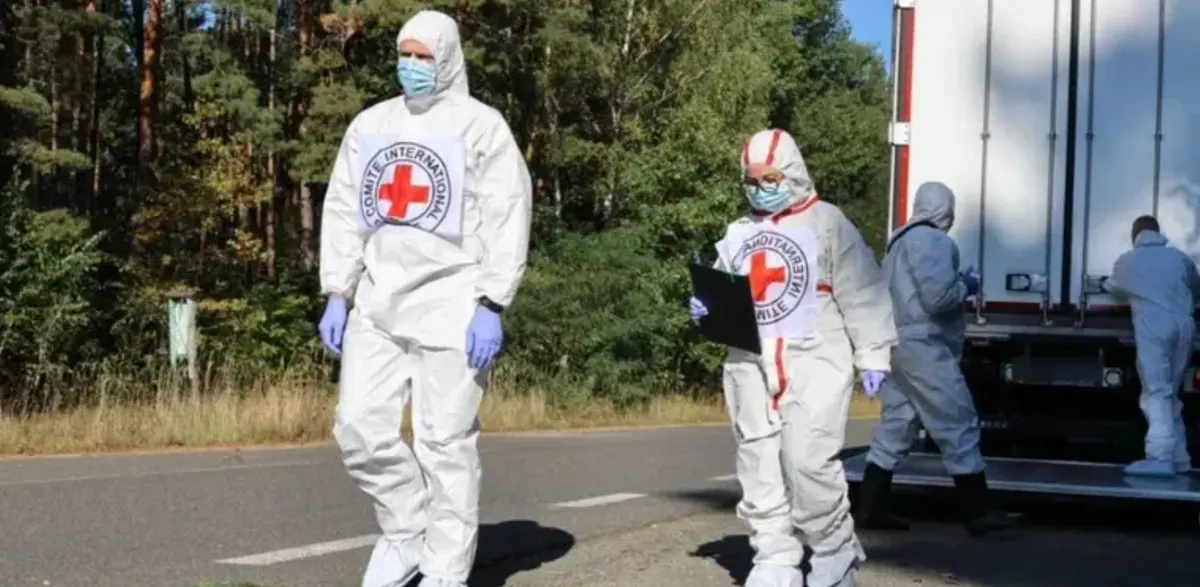 В Україну повернули тіла 252 загиблих: розпочнеться ідентифікація