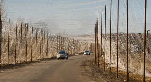 Уряд виділив 789 млн грн на антидроновий захист доріг оборонного значення