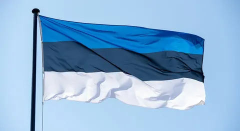 Естонська розвідка: втрати РФ третій тиждень поспіль перевищують 10 тисяч
