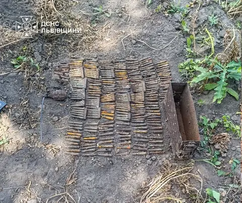 Піротехніки Львівщини знищили гранату, патрони та снаряди часів Другої світової