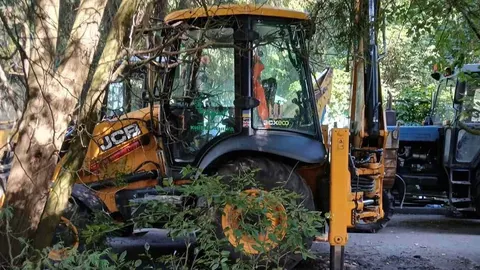 Вирубка на Теремках: інженерка закликала Стерненка і Лаченкова спростувати заяву