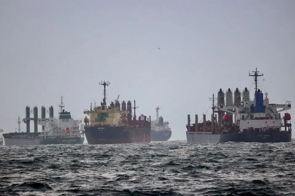 Україна та Єгипет обговорили безпеку судноплавства у Чорному морі