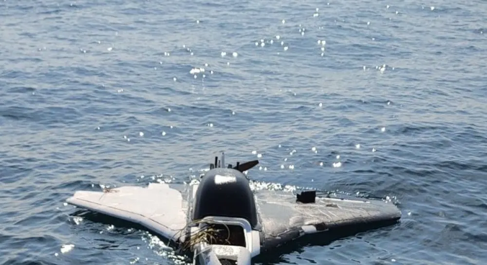 ВМС Болгарії знешкодили безпілотники біля узбережжя Варни