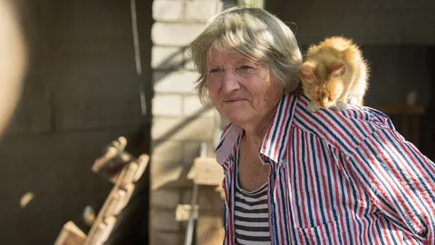 У «кілзоні»: як виживає Покровське за 18 км від фронту