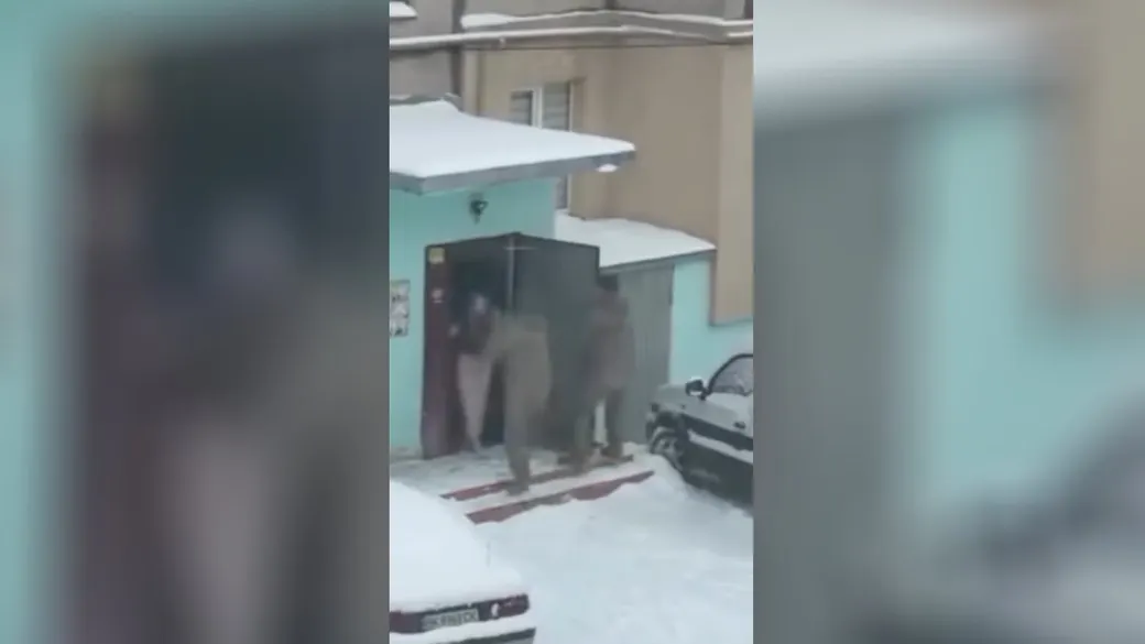 Двоє військових Рівненського ТЦК отримали догани за розпилений балончик у Здолбунові
