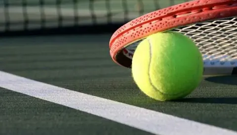Чеська чемпіонка Вімблдона підтримала вчинок Олійникової з призовими