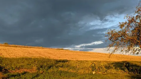 З 21 вересня в Україні дощі, рвучкий вітер і похолодання до +15°