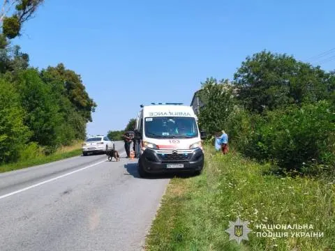 На Золочівщині п'яний водій на смерть збив військовослужбовця ЗСУ