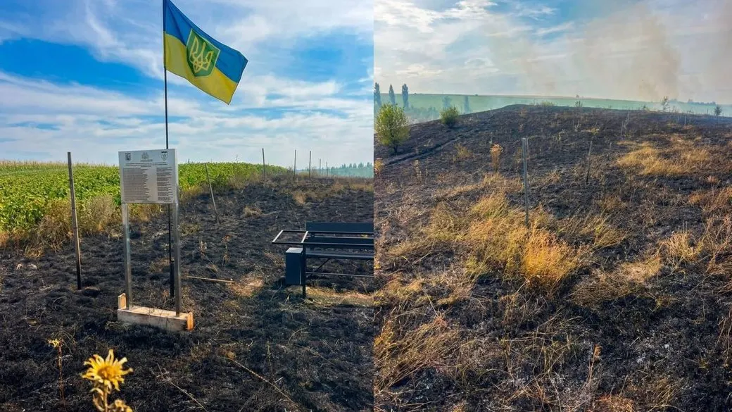 На Буковині втретє згоріли дуби, висаджені на честь полеглих військових