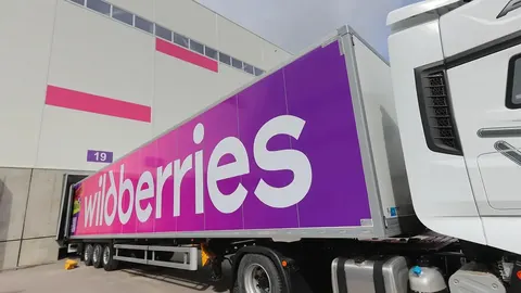 Збитки Wildberries від ударів ЗСУ можуть сягнути 800 млрд рублів